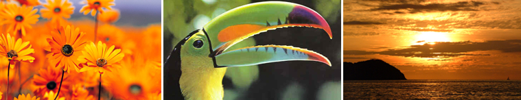 Six reasons for a Spanish language course in Costa Rica