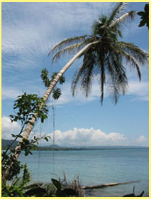 cahuita costa rica