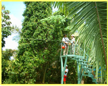 Rainforest Aerial Tram Costa Rica
